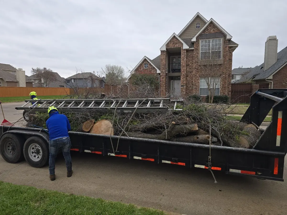 Expert Tree Fertilization with proper safety equipment in Holtsville